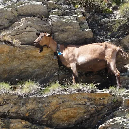 Haus サース フェー