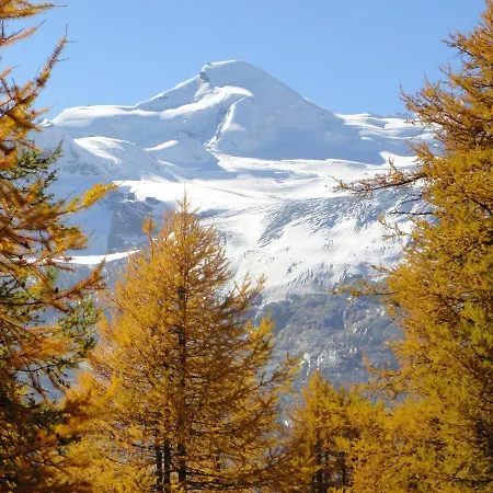 Haus Apartment Saas-Fee